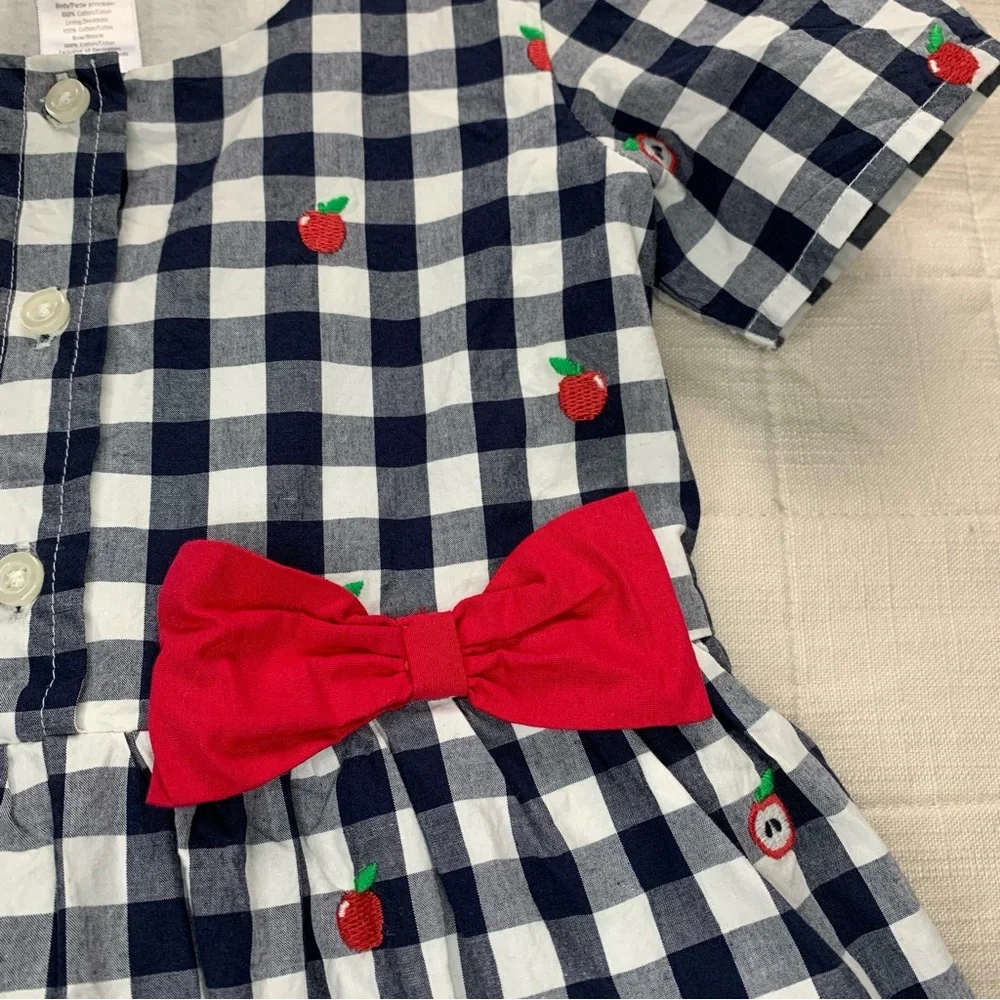 Gymboree‎ Navy Gingham Apple Poplin Dress Size 5T